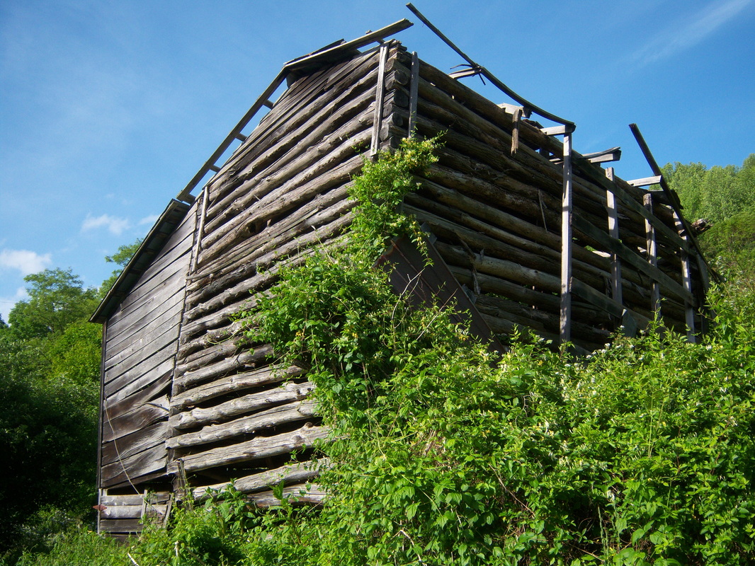 Log built tobacco barn in need of roof